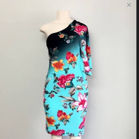 Cache One Shoulder Dress