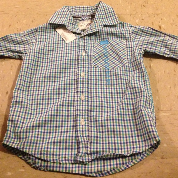 Quad- Colored Striped Buttoned Down Shirt