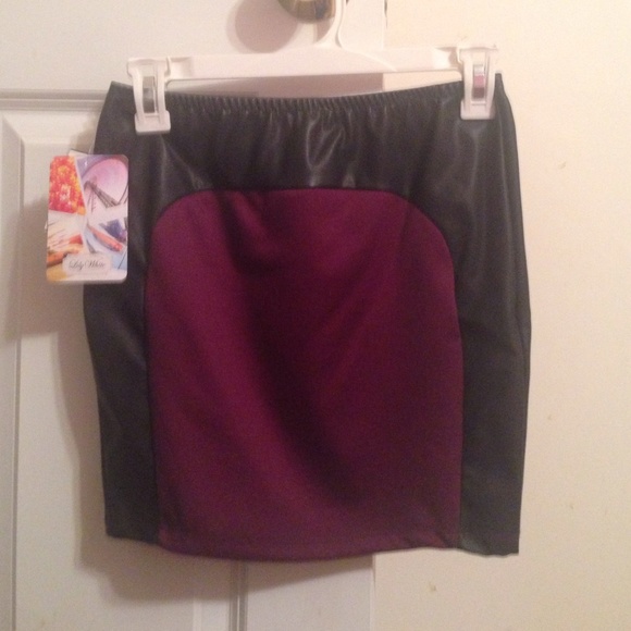 Suede and Pleather Skirt (From Nordstrom)