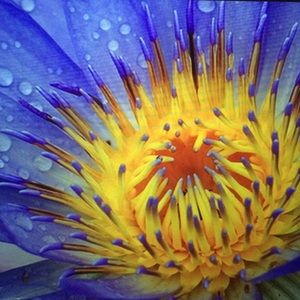 BUNDLE reserved for mturn2