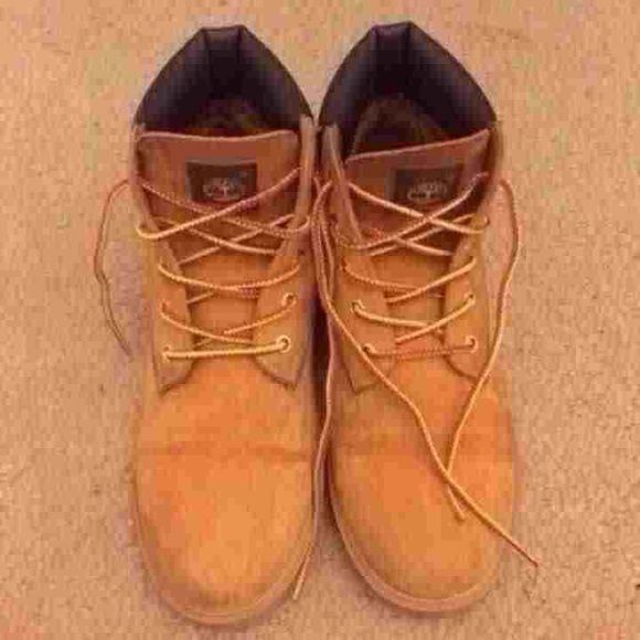 Original wheat Tims