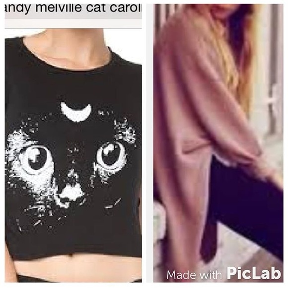 MAJOR ISO pls tag 💕💕💕