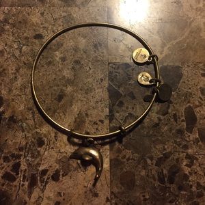 God dolphin Alex and ani