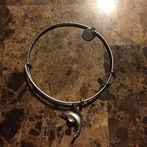 silver dolphin Alex and ani