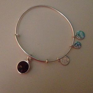 Alex and Ani Feburary Birthstone