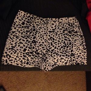 leopard print shorts
