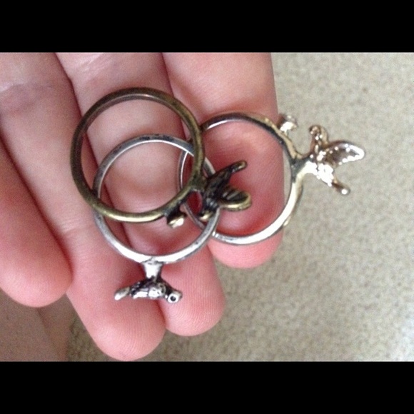 Set of Three Bird Rings