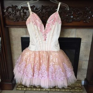 Customer made ballerina/fairy costume