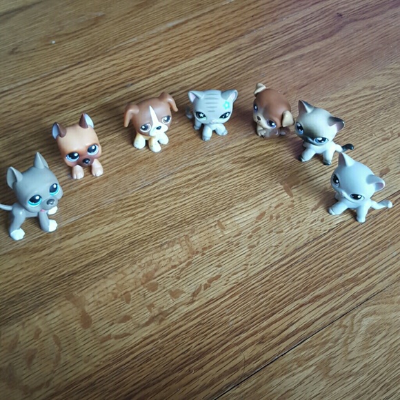LPS-ON hold