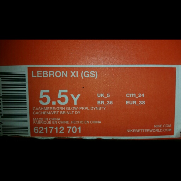 LeBron - Picture 4 of 4