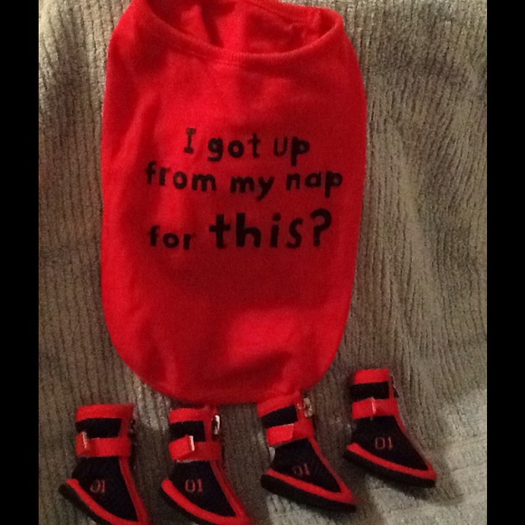 Dog t-shirts and shoes