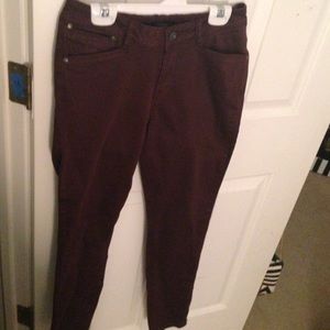 Burgundy pants