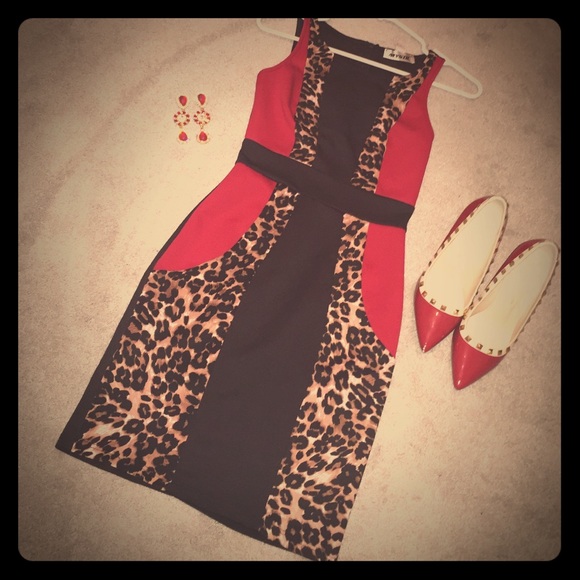 Beautiful Red and Cheetah Dress ❤️