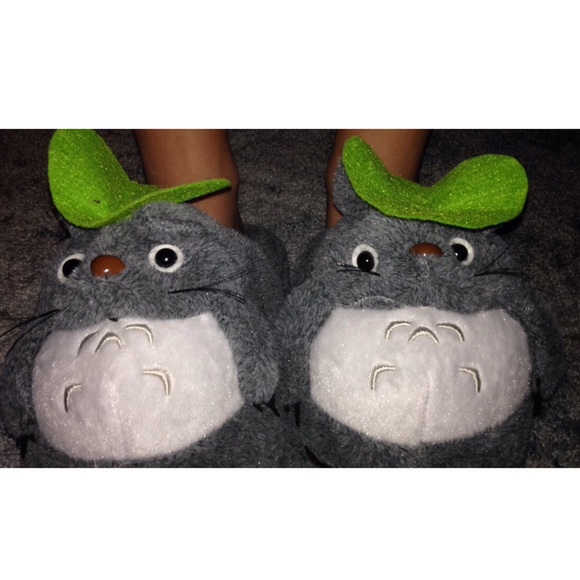 Slippers / totoro