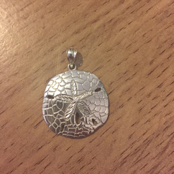 Sand Dollar pendent New!