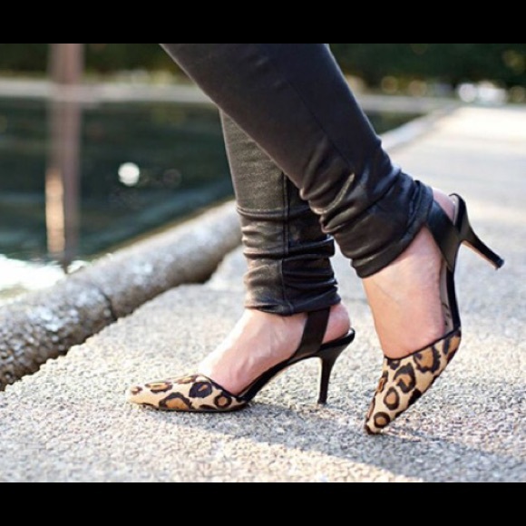 Sam Edelman Okala Leopard heels