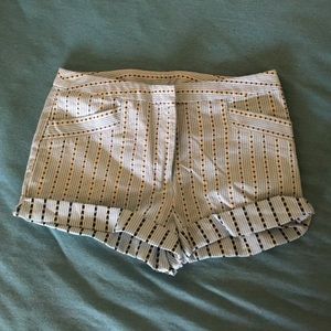 Ann Taylor Loft Shorts