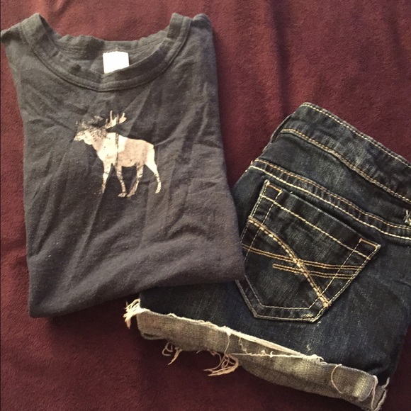 aвercroмвιe мooѕe т ѕнιrт