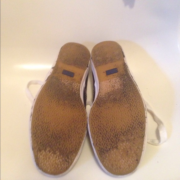 Keds - Picture 2 of 4