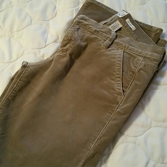 Velour pants