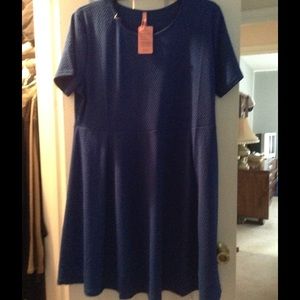 Blue fit n flare dress - NWT 3x