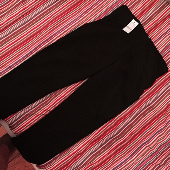 Dressy pants