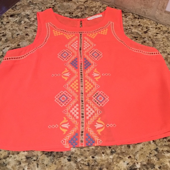 Beautiful bright never worn embroidered top