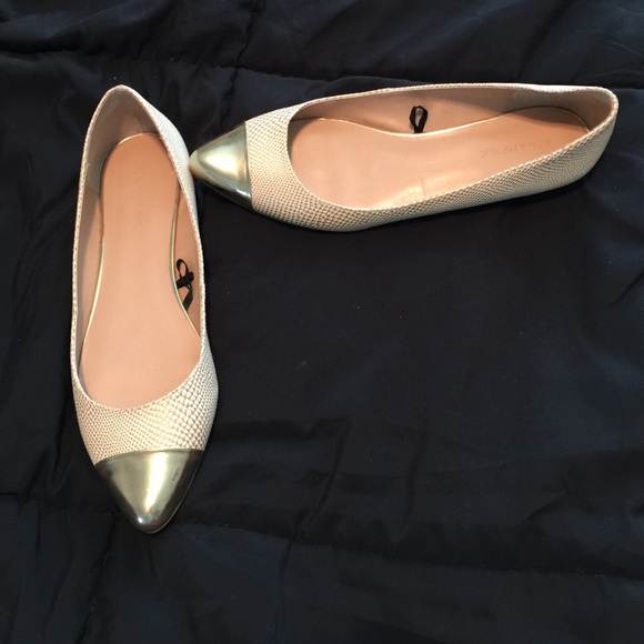 Banana Republic pointed toe flats