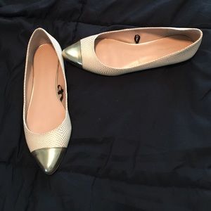 Banana Republic pointed toe flats