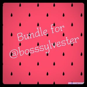 Bundle for @bosssylveser