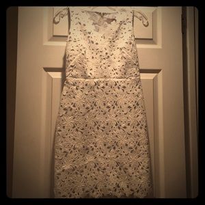 Gorgeous scalloped lace dress