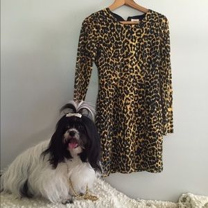 Rodarte for Target leopard dress