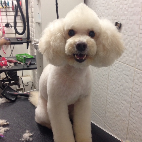 Meet your seller/buyer - Picture 3 of 4