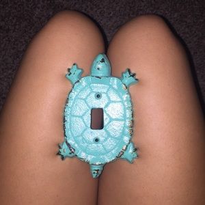 Turtle turquoise light switch cover frame