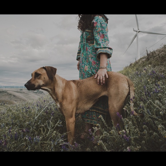 🎉Meet your Seller!! 🎉 - Picture 4 of 4