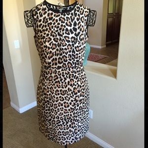 Kate Spade Dress