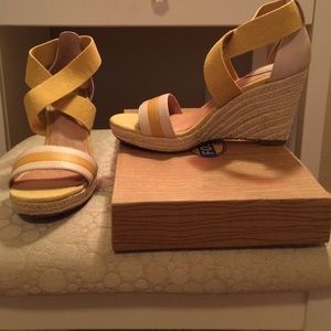 Yellow fossil wedges