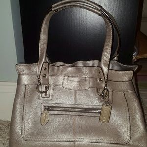 Metallic Coach Bag