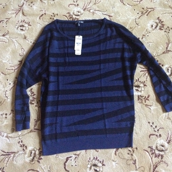 Express Sweaters - NWT express sweater