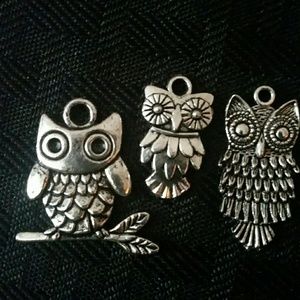 Owl Special Listing
