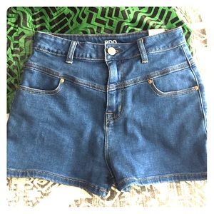 Urban Outfitters BDG Vintage High Wasted Shorts