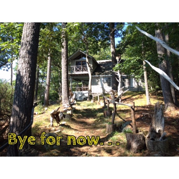 VACATION - Picture 4 of 4