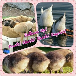 Jeans, shorts, capris, skirts, etc!