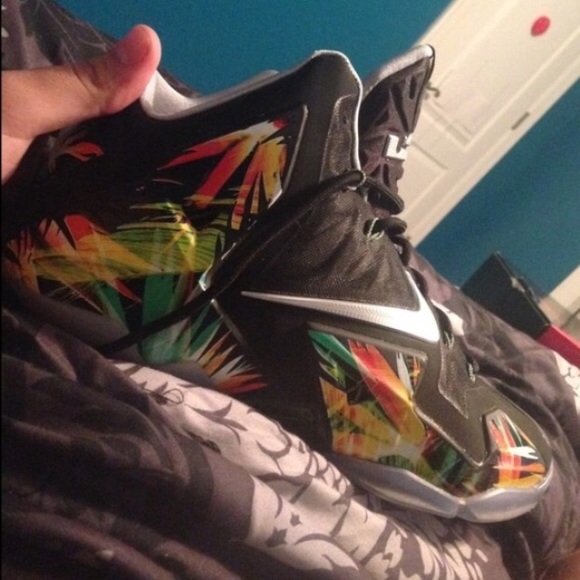 Lebron 11 Everglades size 12 - Picture 2 of 2