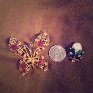Butterfly and ladybug lover's brooches