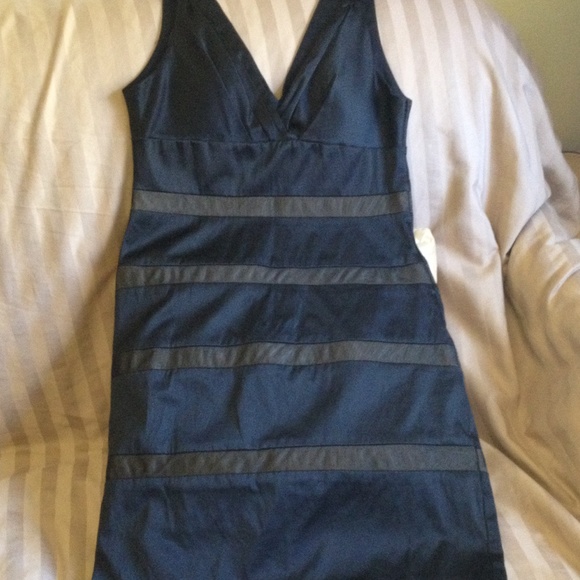 Black and Tan dress