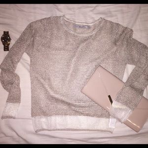 Zara sheer long sleeve top