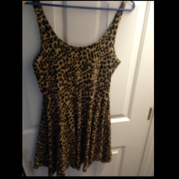 Cheetah Print PINK skater dress