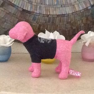 Pink dog with tee shirt