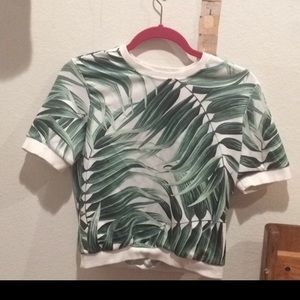 Shinny fabric , crop top,